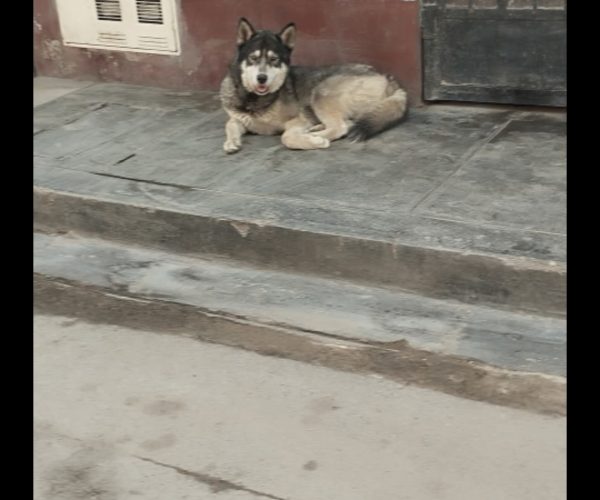 1000245596