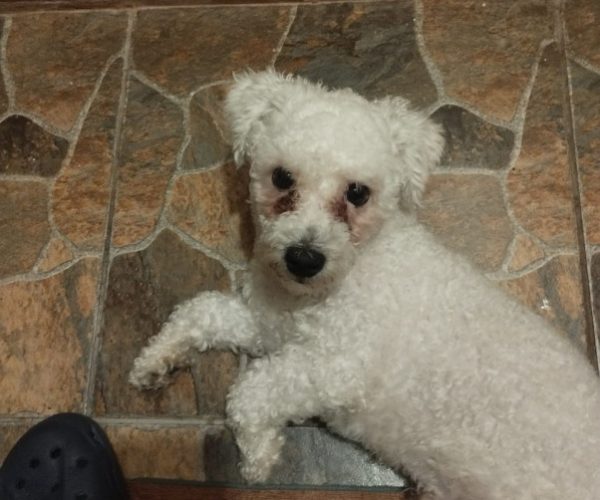 87f9f115-9d73-41bd-966d-5e4812e17f38