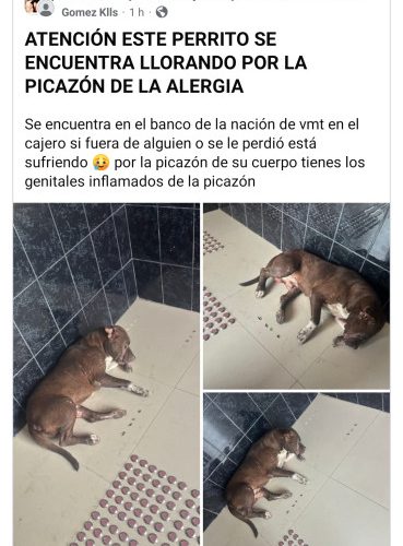 Screenshot_2026-04-08-13-33-52-981_com.facebook.katana