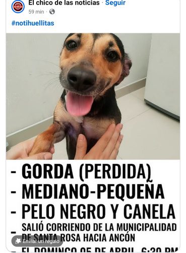 Screenshot_2026-04-08-13-35-24-631_com.facebook.katana