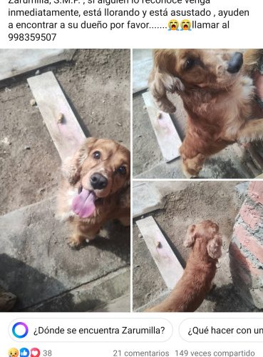 Screenshot_2026-04-10-16-46-47-648_com.facebook.katana