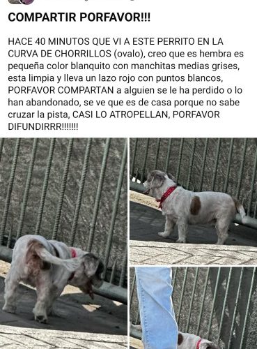 Screenshot_2026-04-10-16-48-25-140_com.facebook.katana