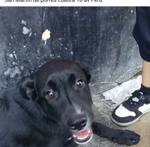 1000328911