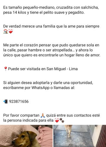 1000342487