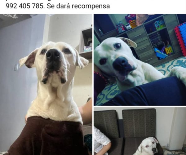 1000343454