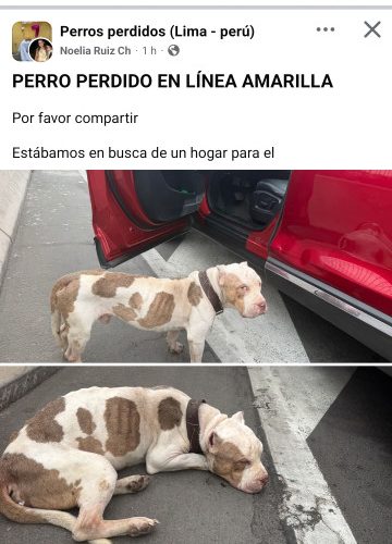 1000350079