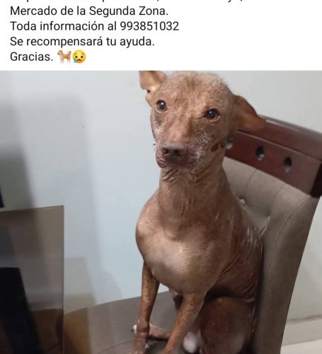 1000352145