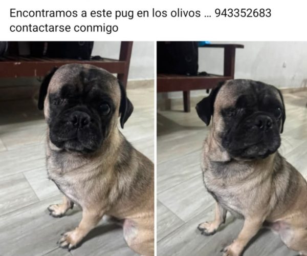 1000357013