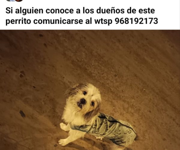 1000357014