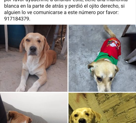 1000357399