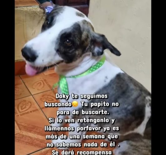 1000360840