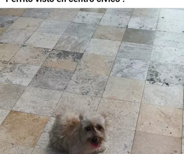 1000361875