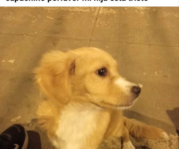 1000361876