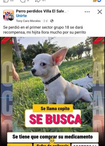013c4383-02f9-4de3-8e87-f3af5b417357-1_all_633487