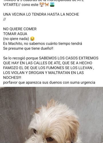 013c4383-02f9-4de3-8e87-f3af5b417357-1_all_633615