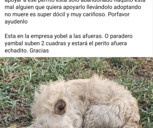 1000366571
