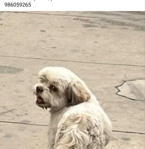 1000376296