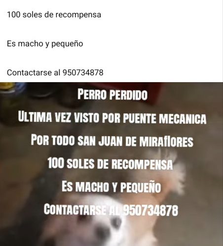 1000376980