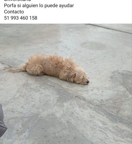 1000377796