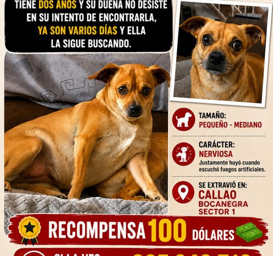 CCBBA643-C0FE-4813-BF41-83CA42F1B140
