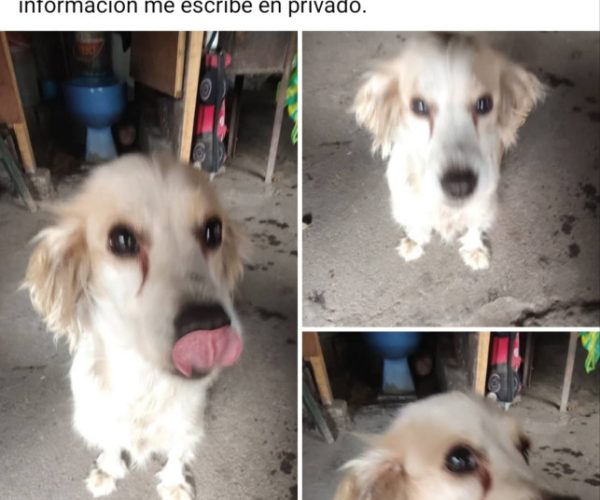 1000385932