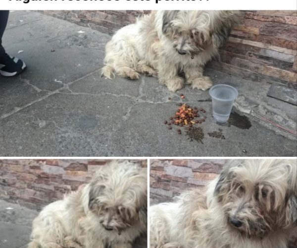 1000393213