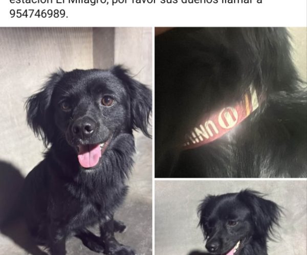 1000396982