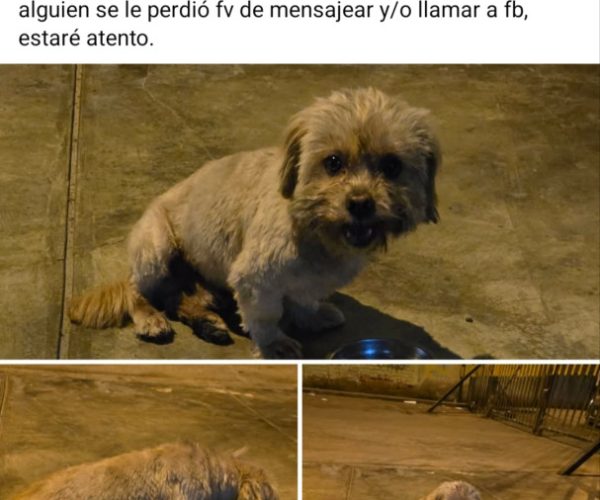 1000399311