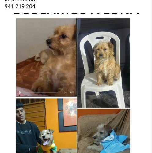 1000404549