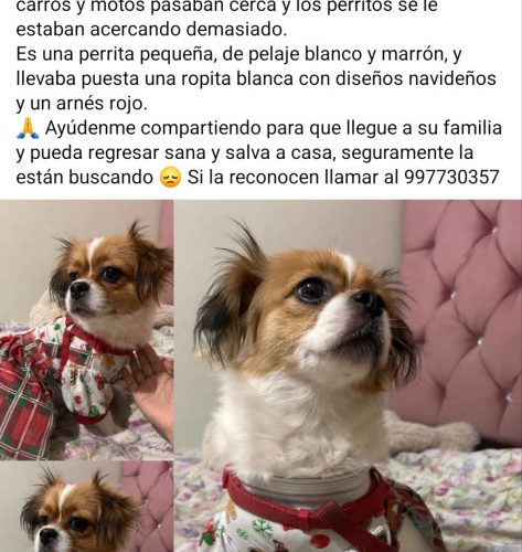 1000407854