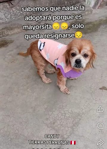 20ab86ab-b2da-4d72-946f-a386a3dd95f3-1_all_634980